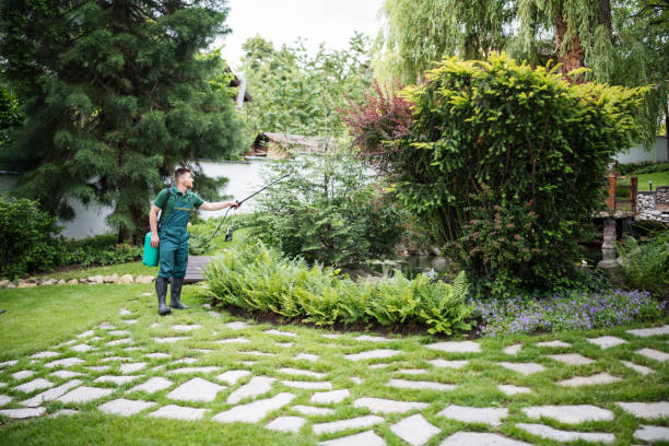 Best Pest Control Near Me in India Hook, SC