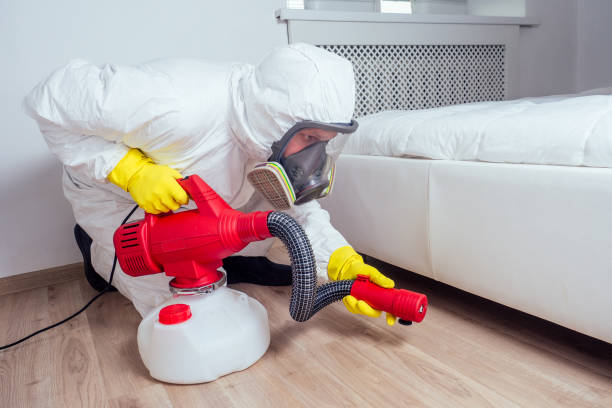 Best Cockroach Control Services  in India Hook, SC