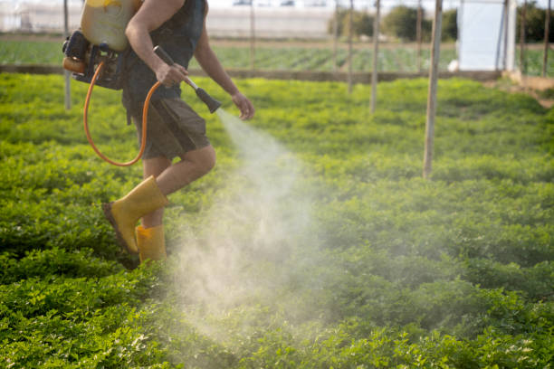 Best Pest Control Near Me  in India Hook, SC