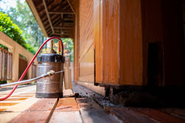 Best Termite Control Services  in India Hook, SC