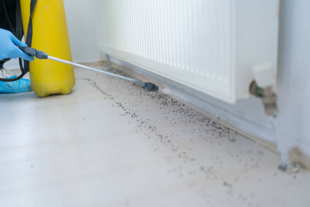 Best Best Pest Control Companies  in India Hook, SC