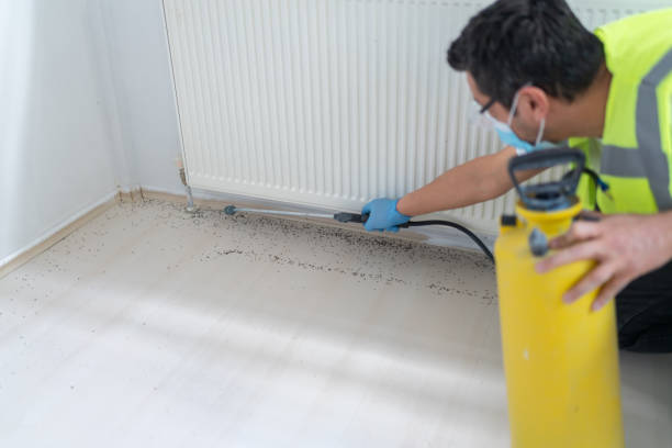 Best Best Pest Control Companies  in India Hook, SC