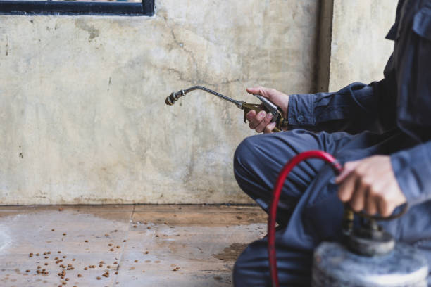 Best Mosquito Control Services  in India Hook, SC
