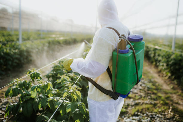 Best Residential Pest Control  in India Hook, SC
